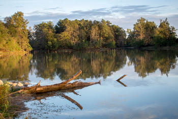 Grand Opening of Kickerillo – Mischer Preserve