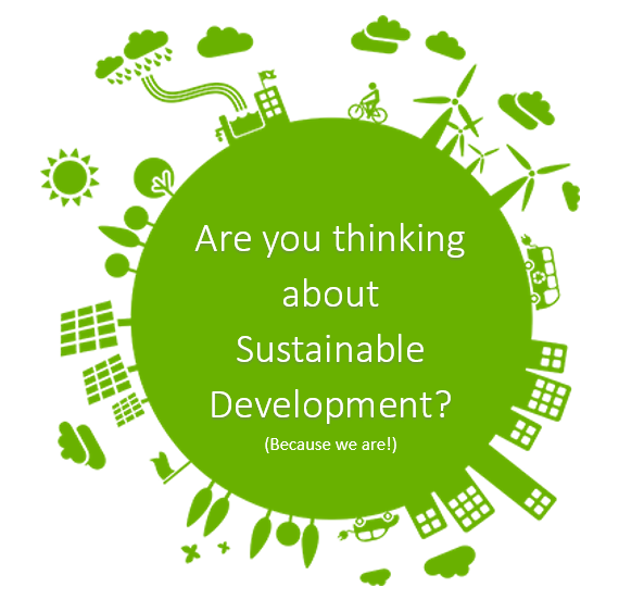 Are You Thinking About Sustainable Development?