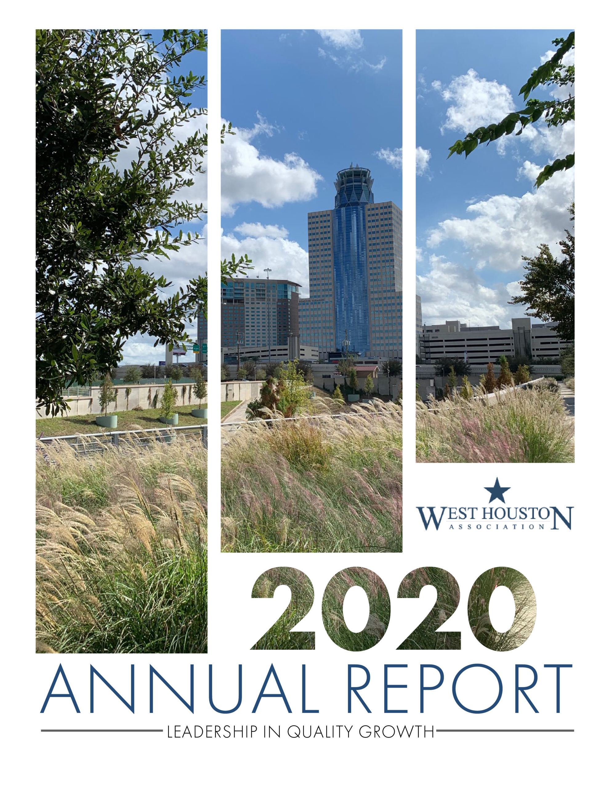 Our 2020 Annual Report is HERE!